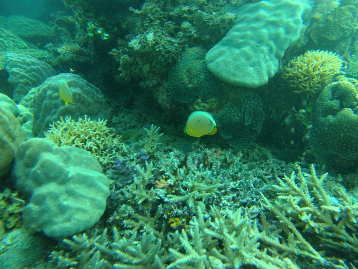 Playa Encantada Beach Resort El Nido Esterno foto